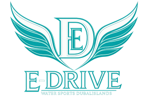 eDrice logo PNG